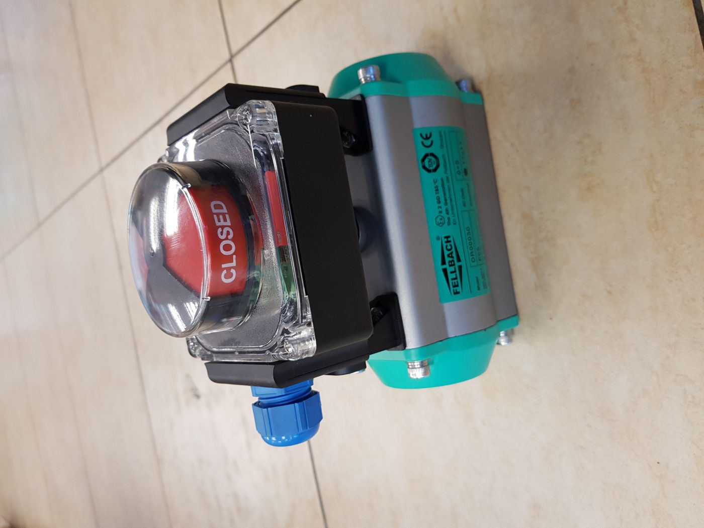 20190221_143014