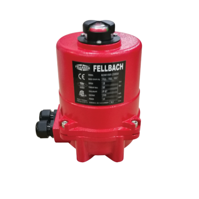 Electrical Actuator (2)