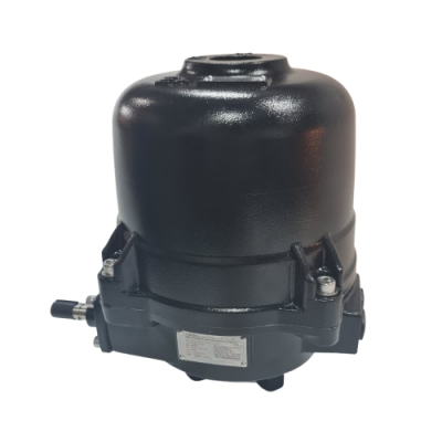 Fellbach Electrical Actuator Ex-Proof (2)