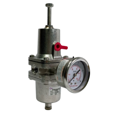 IMG-20260126-WA0006-preview