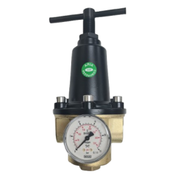 Insert Deal Pressure Regulator (1)