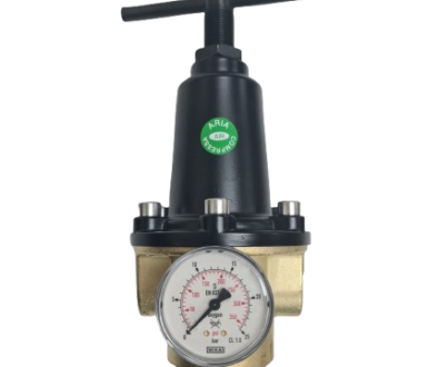 Insert Deal Pressure Regulator (1)