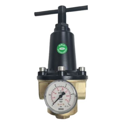 Insert Deal Pressure Regulator (1)