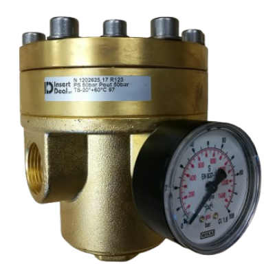 Insert Deal Pressure Regulator (9)