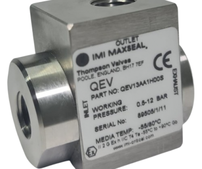 Maxseal Quick Exhaust Valve (2)