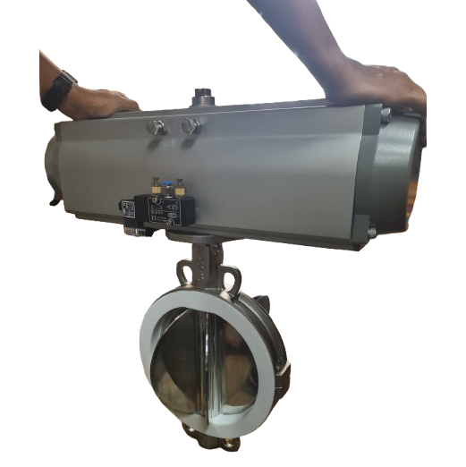 Rotary Butterfly Valve